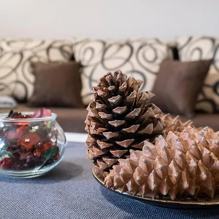 Apartment Chic ➀ne Br Flat Technical University&hospital