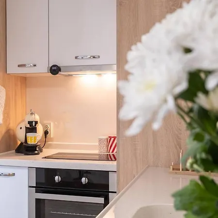 Chic ➀ne Br Flat Technical University&hospital Apartment