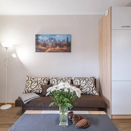 Apartment Chic ➀ne Br Flat Technical University&hospital