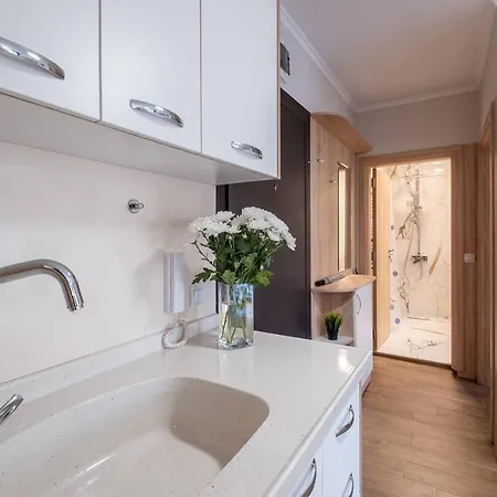 Chic ➀ne Br Flat Technical University&hospital Apartment